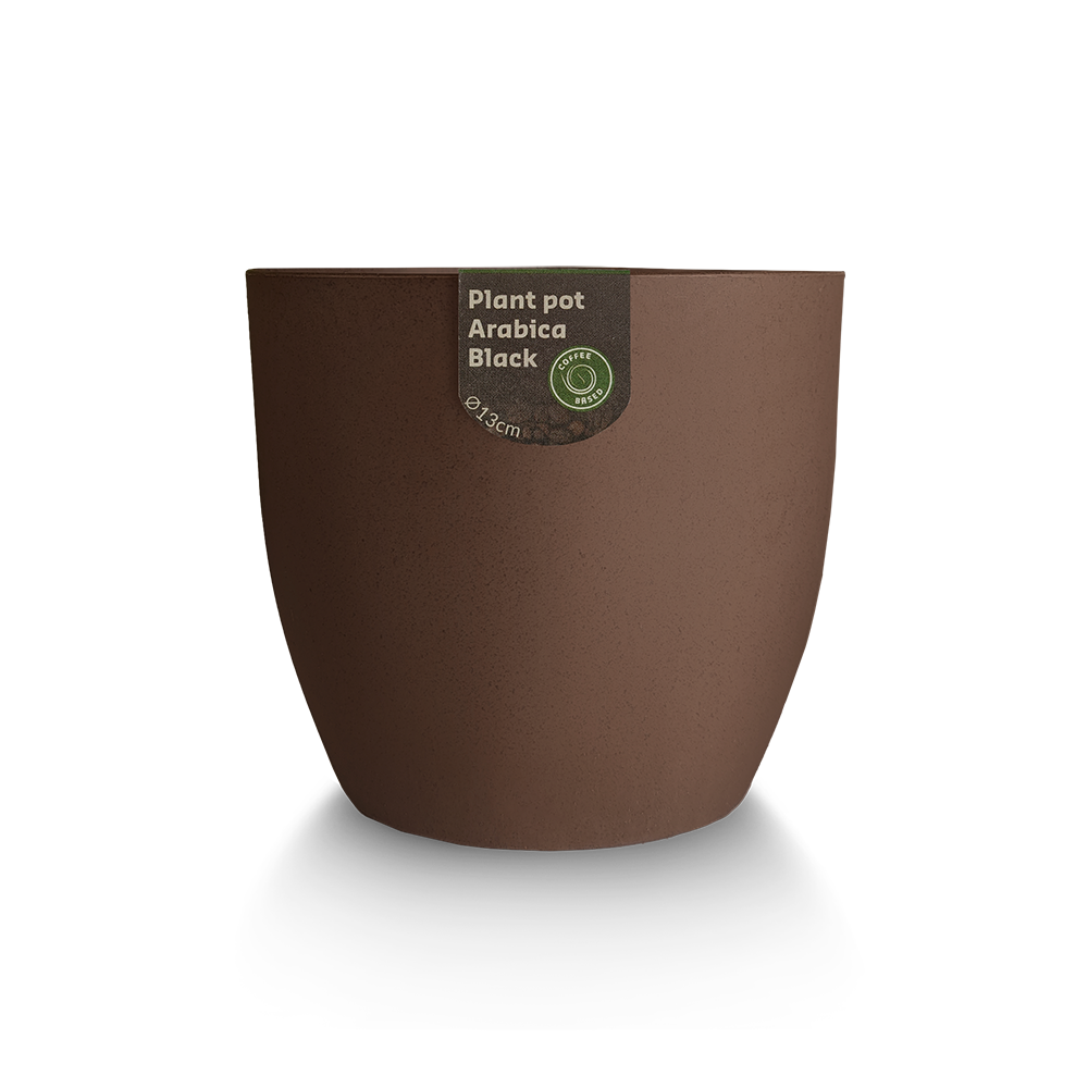 Plant pot met koffieplant